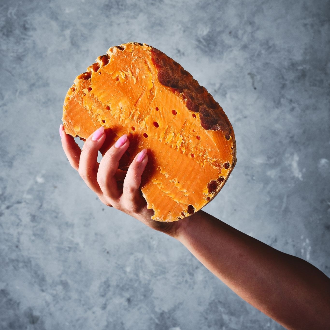 480771256_1052012300306710_3988423000579077859_n